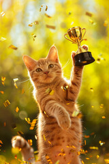 Wall Mural -  Portrait photo of funny kitten cat winning an award holding a trophy, studio shooting high quality photo pet background, wallpaper, wall art