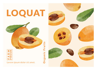 Loquat fruit packaging design templates, watercolour style vector illustration.