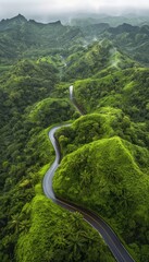 Wall Mural - Asphalt road winding between the green hills of beautiful rain forest area captured from the air