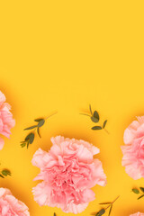 Wall Mural - pink carnation flowers and eucalyptus branches on a yellow background. gentle botanical concept.