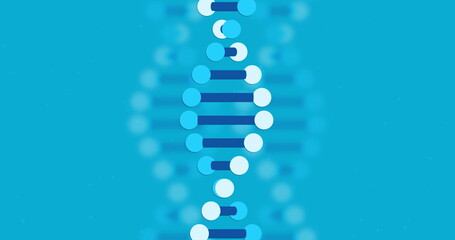 Wall Mural - image of dna strand spinning on blue background