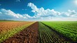 © Best - Half-plowed field and half-green crops, highlighting agricultural phases under a blue sky.