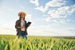 © standret - In straw hat and with documents. Young woman is on the beautiful agricultural field at daytime