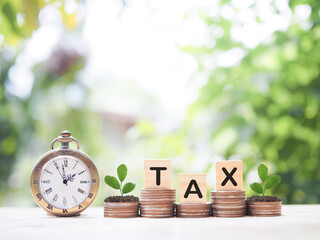 Vintage watch, Wooden blocks with the word TAX and plants growing up on stack of coins. The concept about saving money and manage time to paying tax