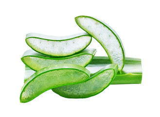 Wall Mural - aloe vera fresh leaf transparent png