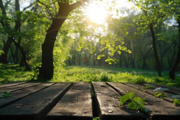 Wall Mural - Spring summer beautiful nature background with blurred park trees in sunlight and empty wooden table.