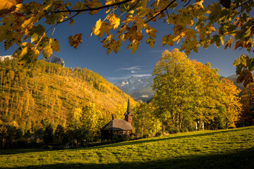 Wall Mural - Autumn view of the Tatras in Slovakia: golden, red, and orange leaves on trees surround majestic mountains with snow-capped peaks. Clear, blue sky contrasts with the warm colors of the forest. 