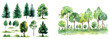 © ZinetroN - Decorative watercolor set of trees, grass, rocks, and fir-trees set in a landscape. Pine, spruce, aspen, and hills.