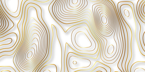 Wall Mural - Abstract white colorful golden Topographic line map background. Contour elevation topographic and textured Background Modern design with White background with topographic wavy pate for decoration.