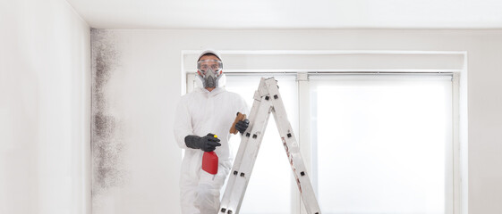 Wall Mural - Professional mold removal service: Worker on ladder wearing protective suit, gloves, glasses and respirator mask. Holding spray bottle product for Cleaning moldy wall before room painting work.