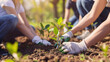 © Studio Zenith - personnes en train de replanter des arbres pour sauver la foret
