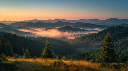 Wall Mural - Sunrise Over Misty Mountains in the Black Forest