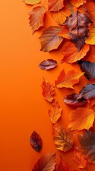 Vibrant autumn leaves on an orange background create a warm, seasonal feel, perfect for fall-themed designs and promotions.