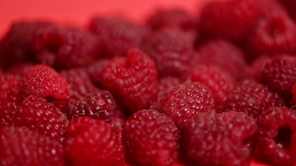 Wall Mural - raspberry berries close-up