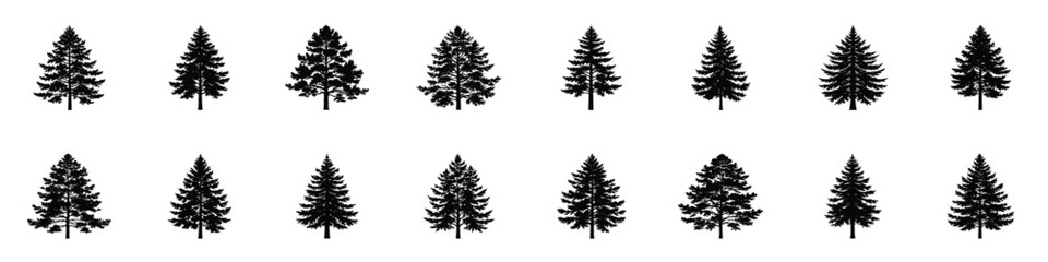 Wall Mural - Set of Detailed Silhouettes of Different Evergreen Trees for Nature Projects. Pine tree silhouette collection, perfect for nature and landscape design projects.