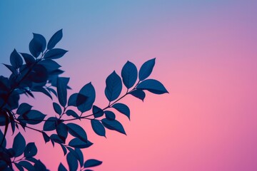 Wall Mural - Silhouette of Leaves Against Colorful Sky