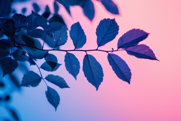 Sticker - Leaves Silhouetted Against Gradient Background