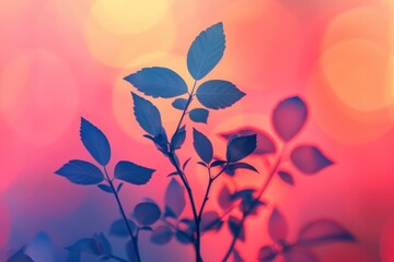 Wall Mural - Colorful Plant Silhouette at Sunset