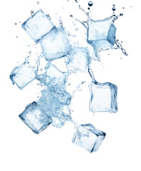 Wall Mural - fresh blue ice cubes falling and splashing isolated on white or transparent png