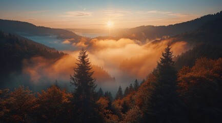 Wall Mural - Mountain Forest Landscape With Mist And A Sunrise Sky