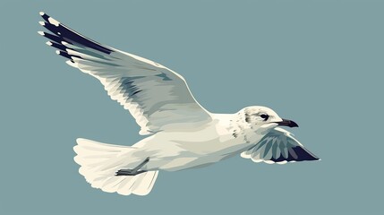 Canvas Print -  A white bird flies in the sky, its wings spread wide