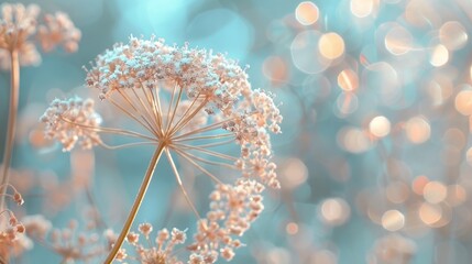 Wall Mural -  A tight shot of a dandelion flower with a blurred background of lights