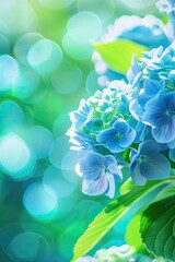 Wall Mural - close-up of a beautiful hydrangea. Selective focus