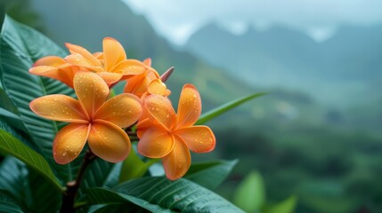 Poster -  A tight shot of an array of flowers against a backdrop of a mountain