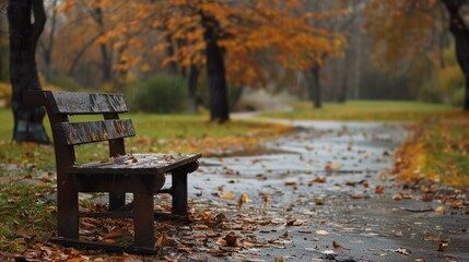 Canvas Print - a wooden bench sitting on top of a wet sidewalk next to a forest