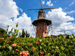 © AlfRibeiro - Dutch windmill replica in Holambra, Sao Paulo state. Holambra is the major flower production and dutch immigrant citizens in Brazil.