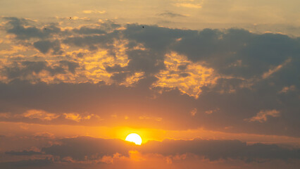 Wall Mural - Sunrise, magnificent sunrise with its beautiful colors in winter Brazil, natural light, selective focus.