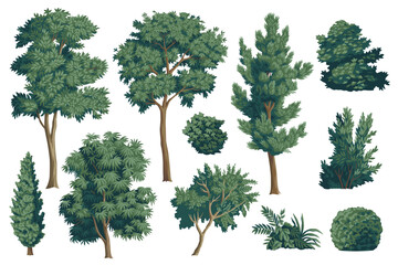 Green bush, tree clip art. Greenery botanical set.	
