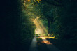 © Florian Kunde - Sunbeams on path through forest. High quality photo