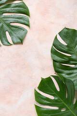 Poster - Tropical monstera leaves on light pink background