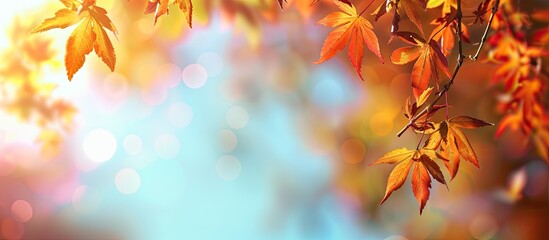 Wall Mural - Autumn park setting with vibrant foliage hanging against a sky backdrop featuring bokeh, ideal for a copy space image.
