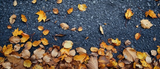 Sticker - Use yellow and brown leaves on asphalt as a frame for text with copy space image.