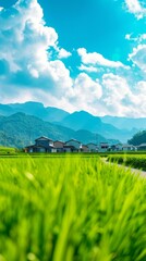 Wall Mural - Landscape Photography Reference. Real Photo of Rural Area. Green and Blue Fresh Color of Picture