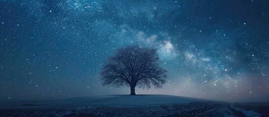 Wall Mural - the milky way forming an arc over a tree in a clear winter night, creating an enchanting scene in th