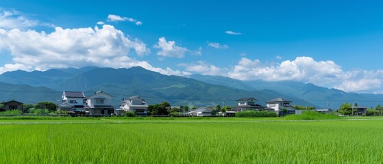 Landscape Photography Reference. Real Photo of Rural Area. Green and Blue Fresh Color of Picture