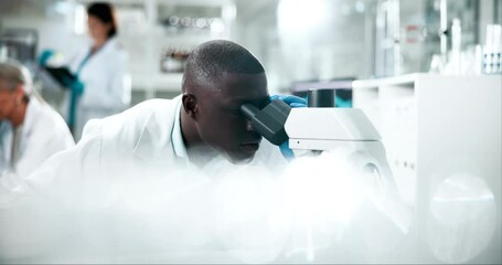 Canvas Print - Medicine, microscope and science with man in laboratory for breakthrough, discovery or experiment. Innovation, medical and research study with scientist at work on cure or vaccine for biology