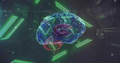 Sticker - Image of neon lights rotating over brain on black background