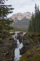 Wall Mural - Athabasca Falls on a Cloudy Autumn Day