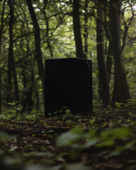 Poster - Black stone tablet in the forest