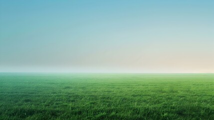 Wall Mural - green field and blue sky