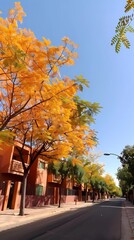 Wall Mural - autumn in the city