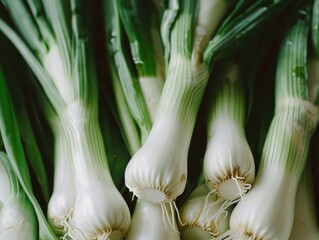 Wall Mural - A bunch of green onions with white tips. The onions are fresh and ready to be used in a meal