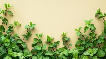Wall Mural - Green Leaves on a Yellow Background