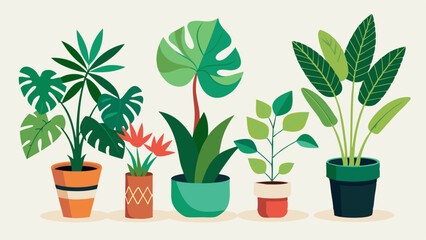 Set of trendy potted plants for home. Different indoor houseplants isolated on white background. Alocasia, begonia, fan palm, monstera, ficus, strelitzia and oxalis. Colored flat