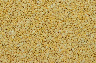 Wall Mural - Yellow Moong Dal or Green Gram Beans Background with Copy Space in Horizontal Orientation