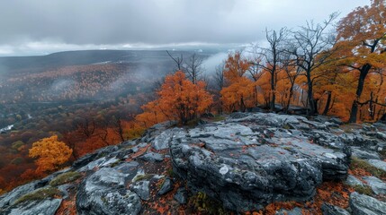 Wall Mural - View from the top of the mountain